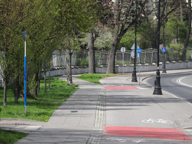 Stadtstraße mit einem ausgewiesenen Fahrradweg, umgeben von Bäumen, Strommasten, Schildern, Gras, Pflanzen und einem Zaun, mit Gebäuden und einem klaren blauen Himmel im Hintergrund.