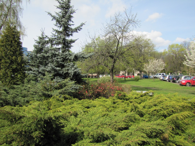 Ein Park mit verschiedenen Bäumen, Pflanzen, Gras und Blumen neben einem Parkplatz mit Autos, Gebäuden und einem bewölkten Himmel im Hintergrund.