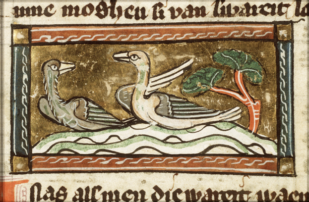 Zwei Vögel sitzen auf einem Ast in einer illuminierten Handschrift, umgeben von dekorativem Text.