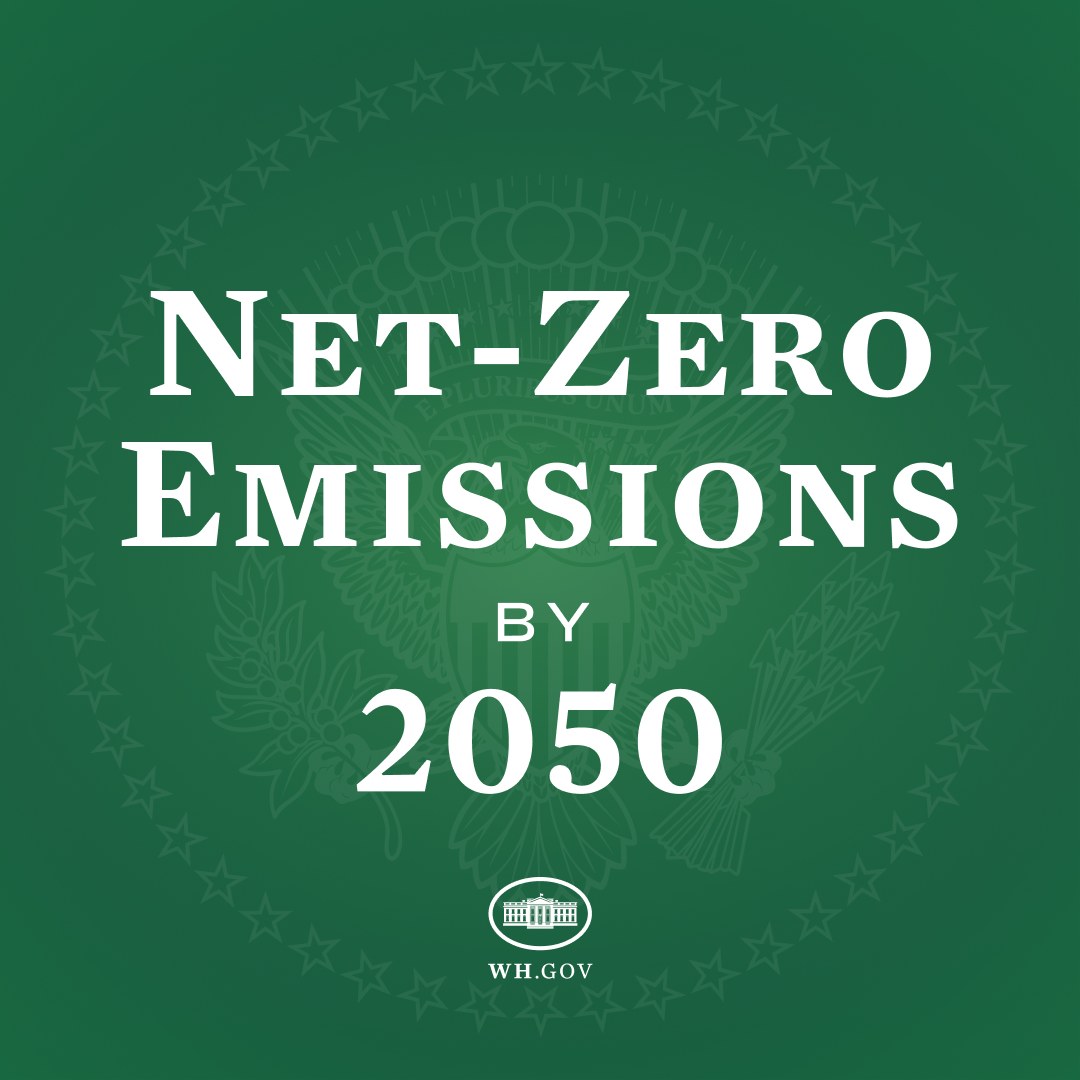 Fetter weißer Text "net-zero emissions by 2050" auf einem soliden grünen Hintergrund.