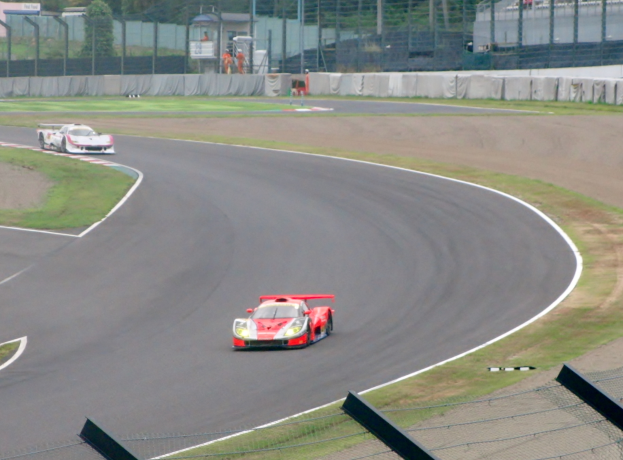 Zwei Sportwagen auf einer von Gras, Zaun, Pfählen, Bäumen und Gebäuden umgebenen Rennstrecke.