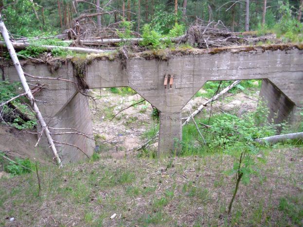 Eine alte, baufällige Betonbrücke in einem Wald, umgeben von Bäumen und Vegetation, mit zerbrochenem Holz und Schutt drumherum.