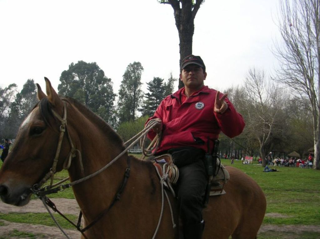 Eine Person auf einem Pferd mit Bäumen, Gras und einigen anderen Menschen im Hintergrund.