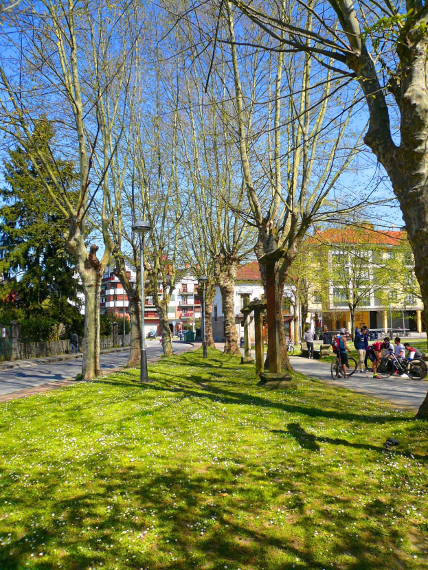 Ein Park mit grünem Gras und Bäumen, Menschen, die zu Fuß und mit dem Fahrrad unterwegs sind, sowie Gebäude und einen klaren blauen Himmel im Hintergrund.