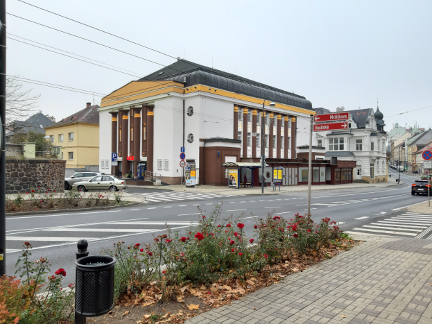 Eine Stadtstraße mit Autos, einer Zebrastreifen, Gebäuden, Schildern, einem Mülleimer, Pflanzen mit Blumen, trockenen Blättern, Bäumen und einem Himmel im Hintergrund.