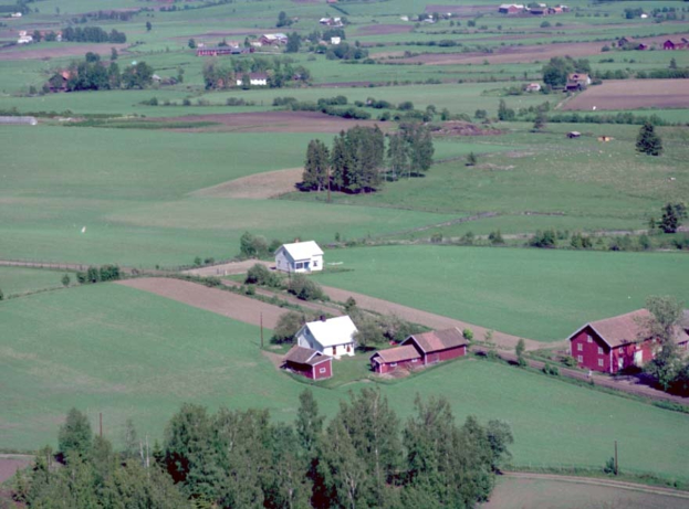 Eine Luftaufnahme eines Hofes in einem grünen Feld, umgeben von Bäumen, Häusern und Pfählen, gelegen in den Vereinigten Staaten von Amerika und Teil des Vereinigten Königreichs.