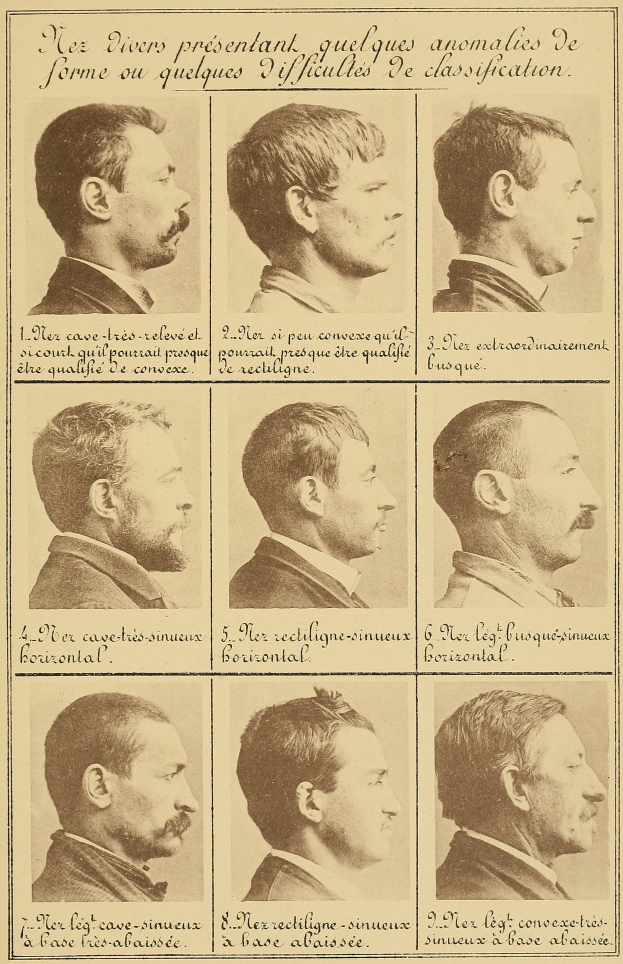 Ein altes Buch mit Abbildungen verschiedener Männergesichter, die jeweils eine andere Frisur zeigen, sowie begleitendem Text, der die Frisuren beschreibt.
