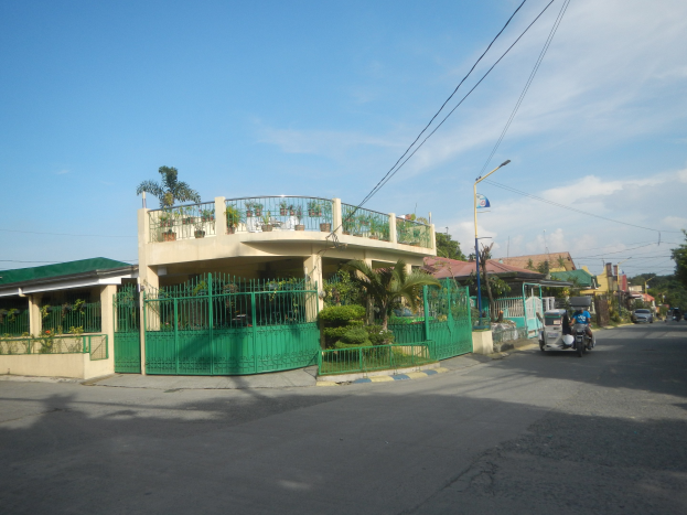 Eine Straße mit fahrenden Fahrzeugen, ein grünes Gebäude mit einem passenden Zaun, Geländern, Pflanzen, Bäumen, Polen, Lampen, Drähten und einer Flagge, vor einem bewölkten Himmel.