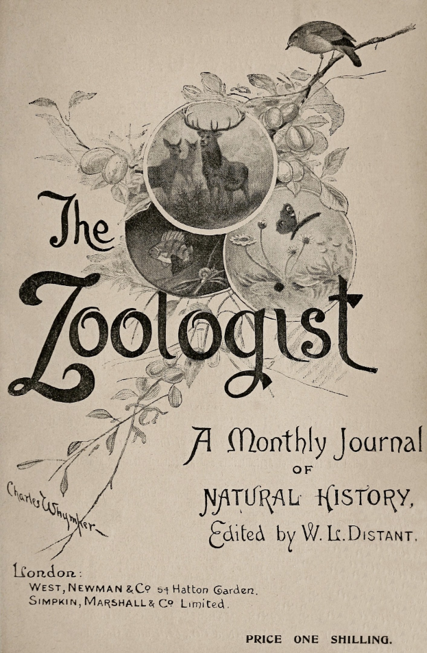 Ein Buch mit dem Titel "Der Zoologe: Ein monatliches Journal der Naturgeschichte" mit einem Vogel auf dem Cover umgeben von realistischen Illustrationen eines Rehs, Kaninchens und Fuchs.