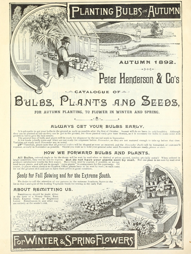 Eine Anzeige für Peter Henderson & Co's Zwiebeln, Pflanzen und Samen für Winter- und Frühlingsblumen, die Text und Bilder von Menschen, Pflanzen und Blumen zeigt.