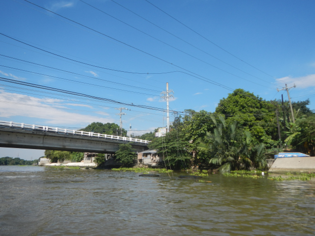 Eine Brücke überspannt einen Fluss mit Stromleitungen, die darüber verlaufen, umgeben von Bäumen und Gebäuden auf beiden Seiten, unter einem bewölkten Himmel.