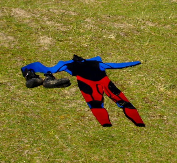 Ein blau-schwarzes und rotes Kleid und ein Paar schwarze Schuhe auf dem Gras.
