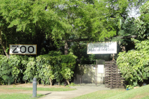 Eintritt in einen Zoo, markiert von einem "Zoo"-Schild, mit Grünfläche, Bäumen, blauem Himmel, einem Vorderpfosten und einem Maschendrahtzaun im Hintergrund.